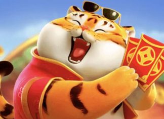 tigre fortune